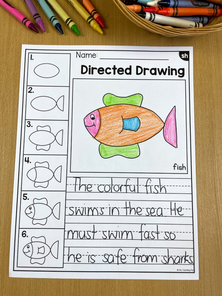 directed drawing of a fish