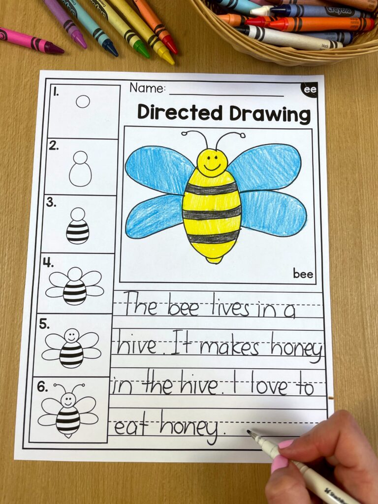 directed drawing of a bee