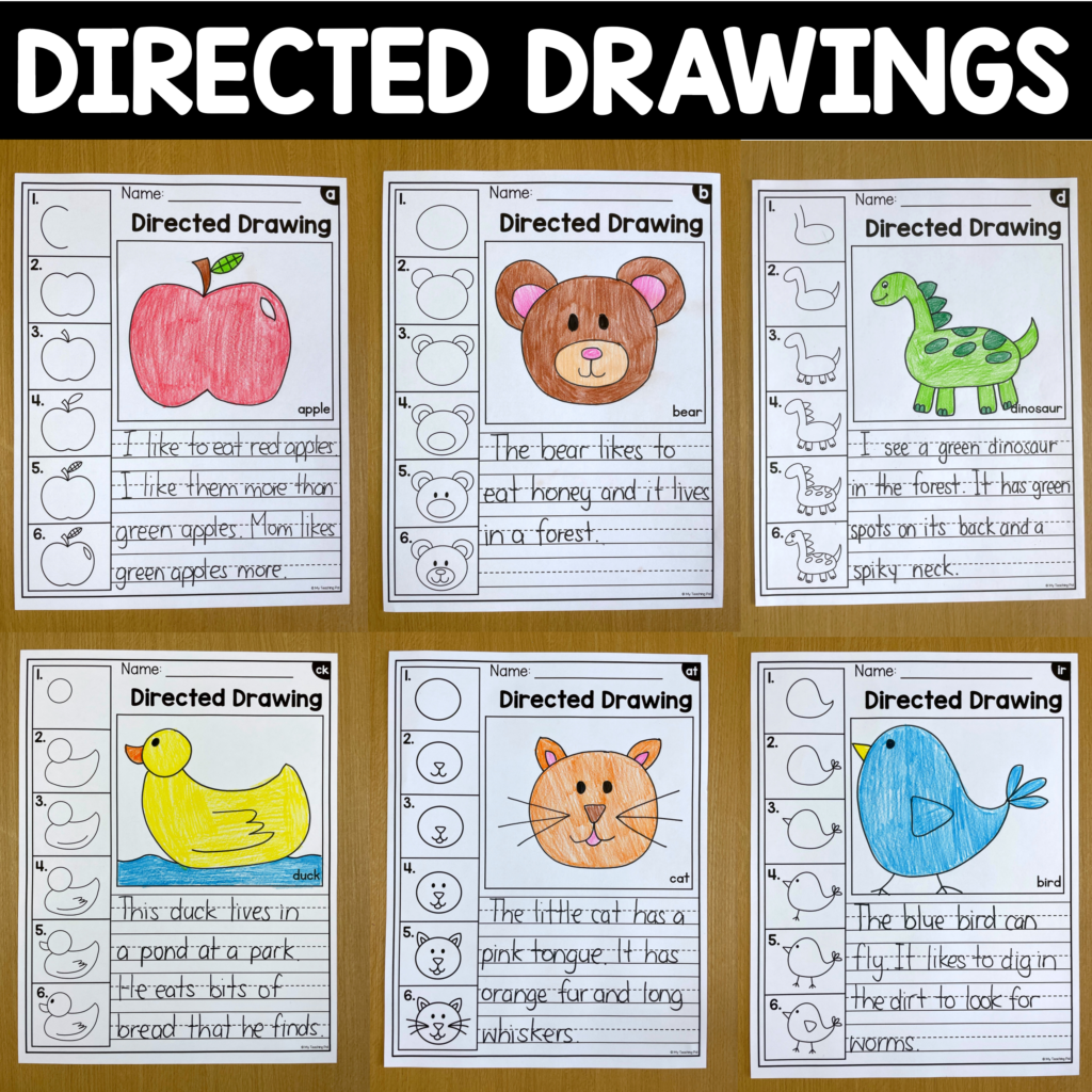 Directed drawings