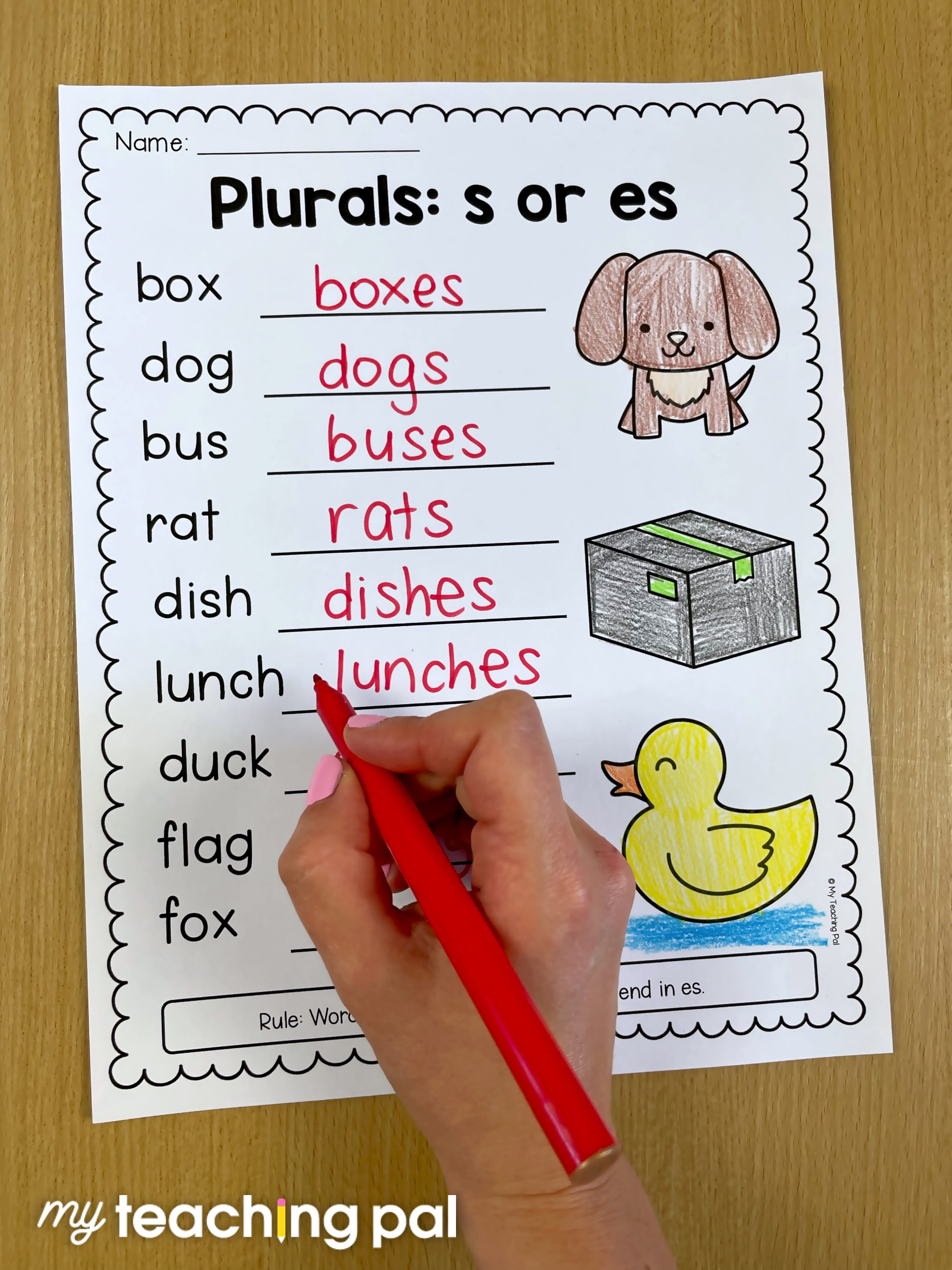 Kindergarten grammar worksheet for plurals s and es